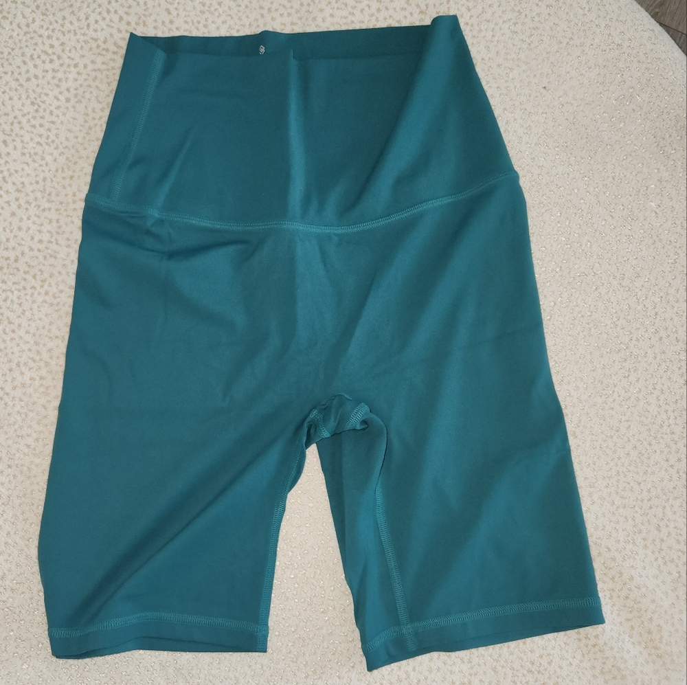 THIRD LOVE HIGH WAISTED 80%NYLON 20%SPANDEX. NWOT
